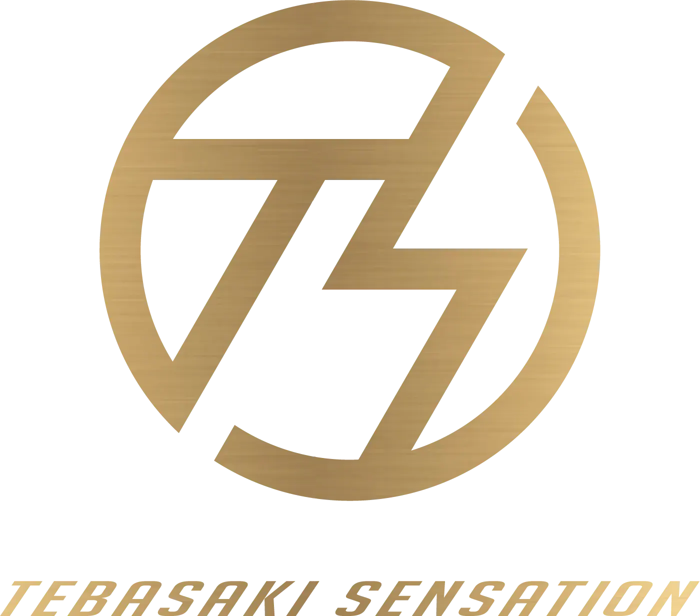 手羽先センセーション